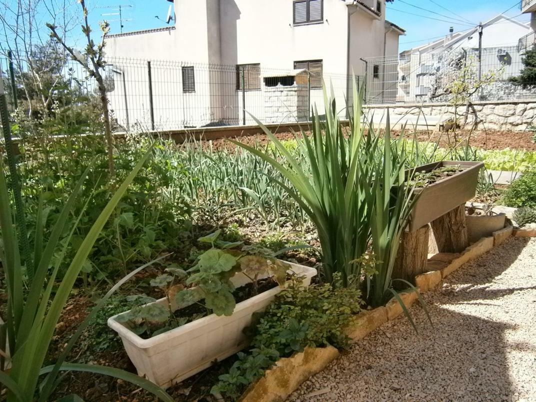 Apartman Šibenik Dış mekan fotoğraf